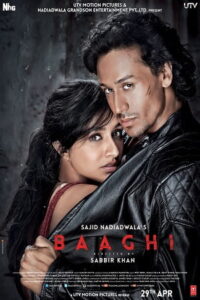 Download Baaghi (2016) Bluray Hindi Movie 480p & 720p & 1080p ESub