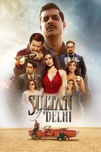 Download Sultan of Delhi (Season 1) WEB-DL Hindi 480p & 720p & 1080p ESub {Hotstar Series}