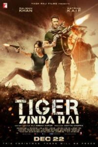 Download Tiger Zinda Hai (2017) BluRay Hindi Movie 480p, 720p & 1080p & 4K 2160p ESub