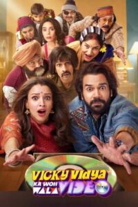 Download Vicky Vidya Ka Woh Wala Video (2024) WEB-DL Hindi Movie 480p, 720p & 1080p Esub