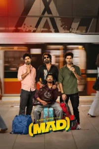 Download Mad Square (2025) WEB-DL Dual Audio [Hindi-Telugu] 480p, 720p & 1080p ESub