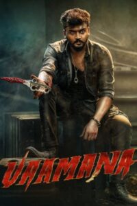 Download Vaamana (2025) WEB-DL Dual Audio [Hindi-Kannada] 480p, 720p & 1080p ESub