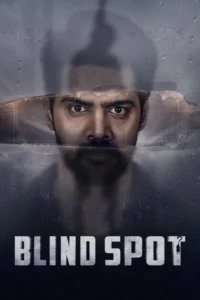 Download Blind Spot (2025) WEB-DL Dual Audio [Hindi-Telugu] 480p, 720p & 1080p ESub