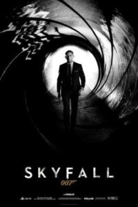 Download Skyfall (2012) REMASTERED BluRay Dual Audio {Hindi-English} 480p | 720p | 1080p ESub