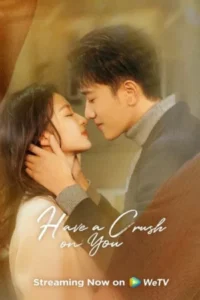 Download Have a Crush on You (Season 1) WEB-DL Hindi Dubbed ORG 720p ESub [Chinese Drama Series] [All Episodes]