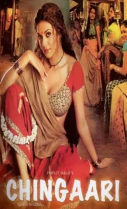 Download Chingaari (2006) WEB-DL Hindi Movie 480p & 720p & 1080p ESub