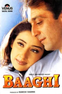 Download Baaghi (2000) WEB-DL Hindi Movie 480p & 720p & 1080p ESub
