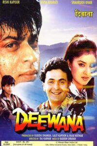 Download Deewana (1992) WEB-DL Hindi Movie 480p & 720p & 1080p ESub