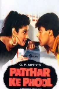 Download Patthar Ke Phool (1991) AMZN WEB-DL Hindi Movie 480p & 720p & 1080p ESub